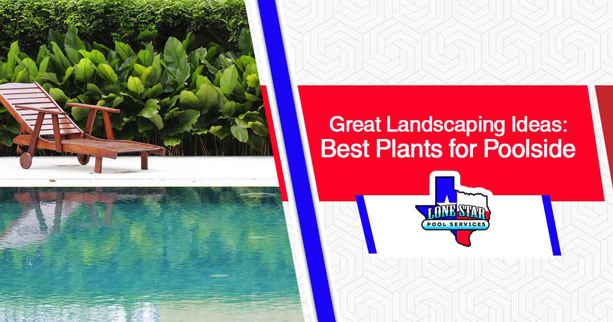 Image of a poolside chair, featuring Lone Star Pool Services. This image highlights 'Great Landscaping Ideas: Best Plants for Poolside,' aligning with the page's context by showcasing optimal plant choices for poolside landscaping.