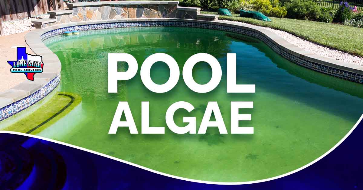 Image of a filthy backyard swimming pool and patio, featuring Lonestar Pool Services and highlighting pool algae issues.