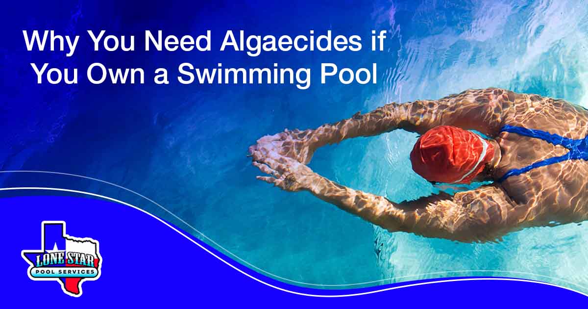 Why You Need Algaecides if You Own a Swimming Pool